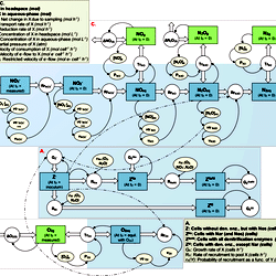 A stock and flow diagram illustrating the model’s structure.