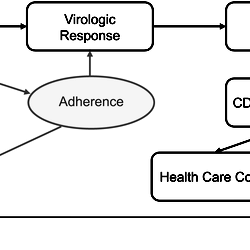Model influence diagram.