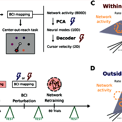 Recurrent neural network (RNN) performing a center-out-reach task.
