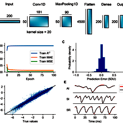 Overview of the convolutional neural network, train errors and accuracy ...