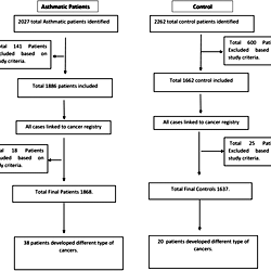 The flow chart of the study methodology.
