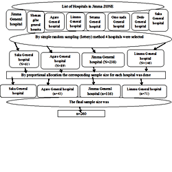Schematic representation of the sampling procedure followed to get ...