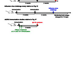 Schematic diagram of the immunization studies related to Fig 1.
