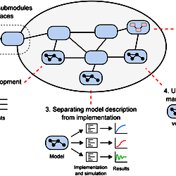 The importance of modularity in models for systems biology.