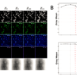 Successful image data extraction in a python environment.