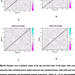Dynamic cross correlation matrix of the apo and holo forms of the target.