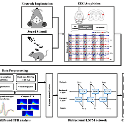 Schematic description of the experimental setup.