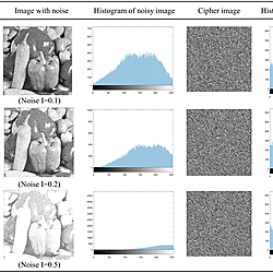 Histogram analysis and entropy analysis of Gaussian noise image and ...