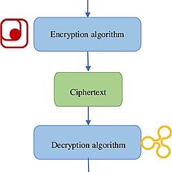 Schematic diagram of network data encryption.