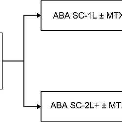 Decision tree structure (ABA-1L vs. ABA-2L+).