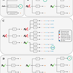 Illustration of the algorithm components.