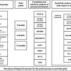 Overview of sensitivity analyses.