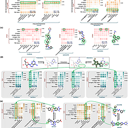 Visualization of subcomponent interactions, where each interaction map ...