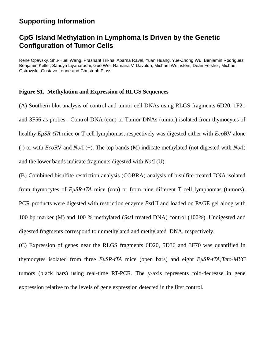 Proposal Essay Example Cpg Island Methylation In A Mouse Model Of Lymphoma Is Driven By The Genetic Configuration Of Tumor Cells Essay For Science also Library Essay In English Cpg Island Methylation In A Mouse Model Of Lymphoma Is Driven By The Research Proposal Essay Topics