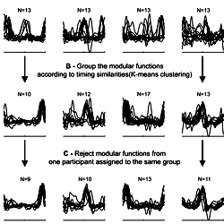 Grouping and selection of modular functions.