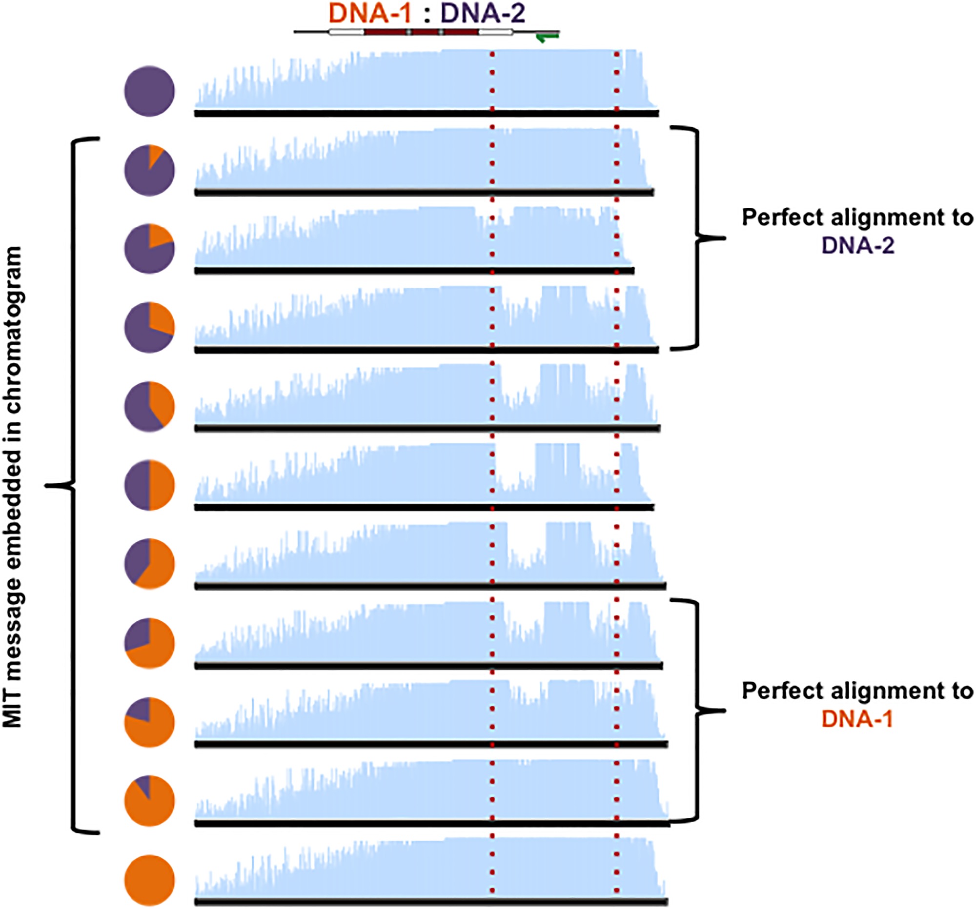 public library of science figshare