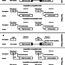 Setup of Experiment 3A and Experiment 3B in terms of the S-R model.