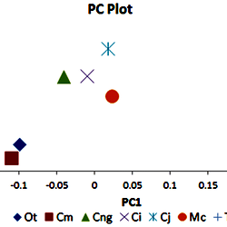 Principal component plot.