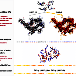 Schematic of the structure-based approach.