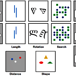 Computerized processing speed tasks.