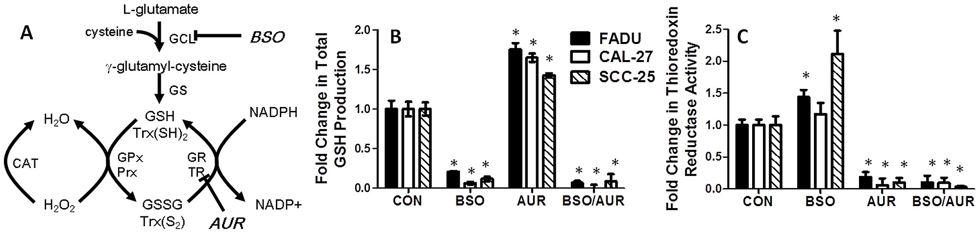 bso glutathione Item - Buthionine-[S,R]-sulfoximine (BSO) and auranofin (AUR) affected  glutathione and thioredoxin metabolism. - Public Library of Science