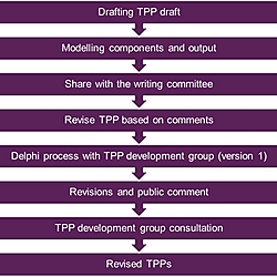 Item - TPP development workflow. - Public Library of Science - Figshare