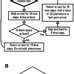 Flow charts describing a) the basic individual-based model, and b) the ...