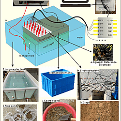 Item - Schematic diagram of the experimental setup and materials ...