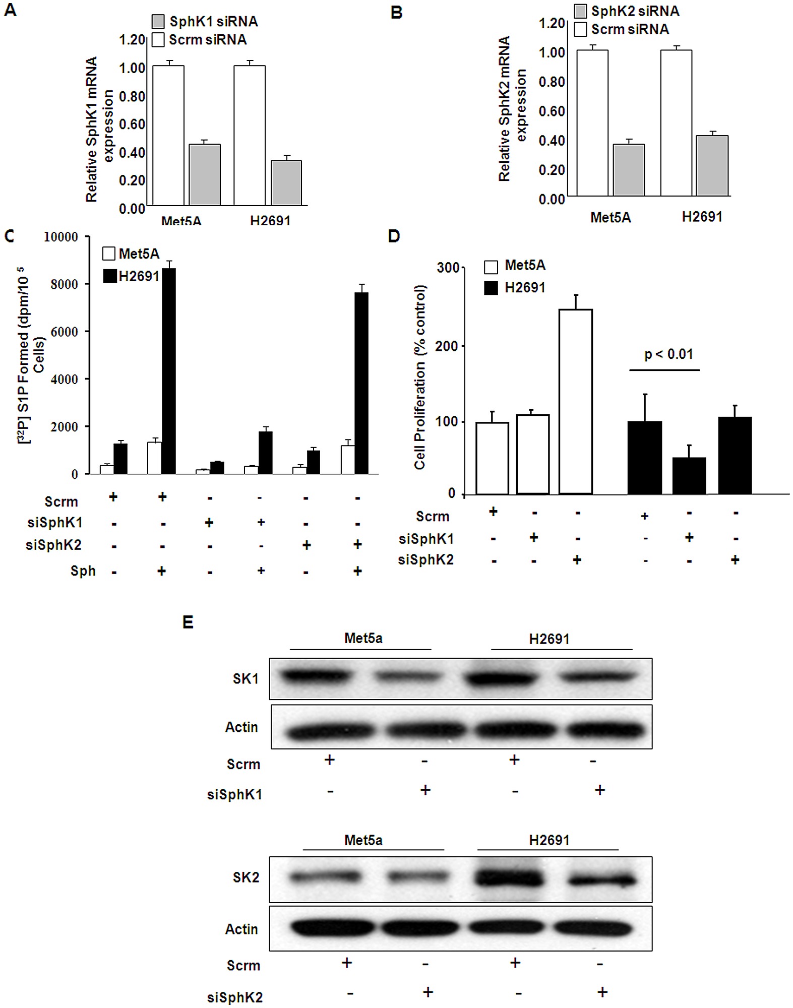 Quanto Custa Para Fazer Um Curral