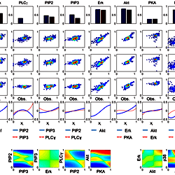 RS-HDMR Component Functions and the Predictive Capability of RS-HDMR ...