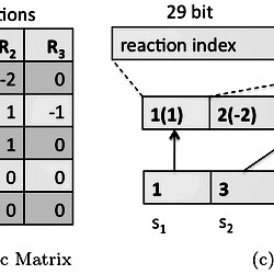 GPU data-structure for stochiometric matrix.