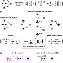 The linear framework.