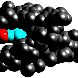 arg38