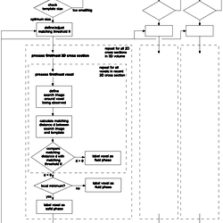 Flow chart of the reconstruction algorithm.