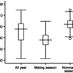 Mean ± SE (boxes) R indices within the male-female categories of ...