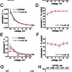 Effects of Aβ<sub>1–42</sub> oligomers (<i>HFIP protocol</i><i>II</i>) on Kv 1.3 currents and on BLM conductance.