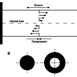 Simple illustrations of beam theory