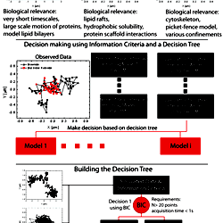 Bayesian Decision Tree for the Classification of Single-Molecule ...