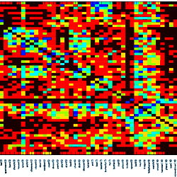 Item-wise confusion matrix from the participants of Mitchell et al.’s research [26].