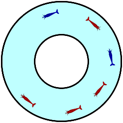 Schematic of the experimental setup.