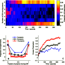 Large-scale behaviour of the experimental system.