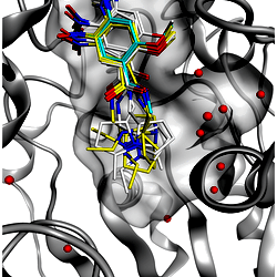 Predicted binding poses of both C5685 enantiomers by molecular docking ...