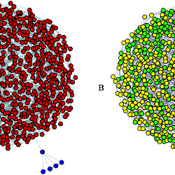 Modularity optimization can miss “intuitively modular structures”.