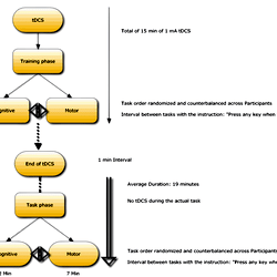 Schematic Representation of the experimental design used in this ...