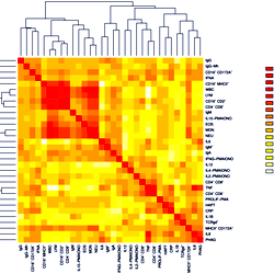 Heatmap of the genetic correlations between 32 ITs.