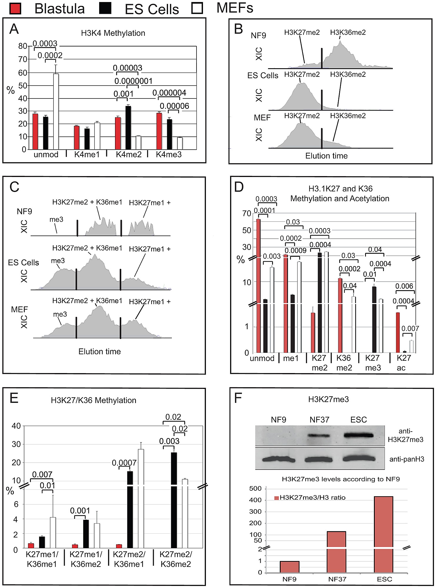 Histone Modification Chart