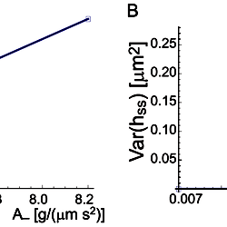 Bifurcation Analysis Bifurcation Analysis
