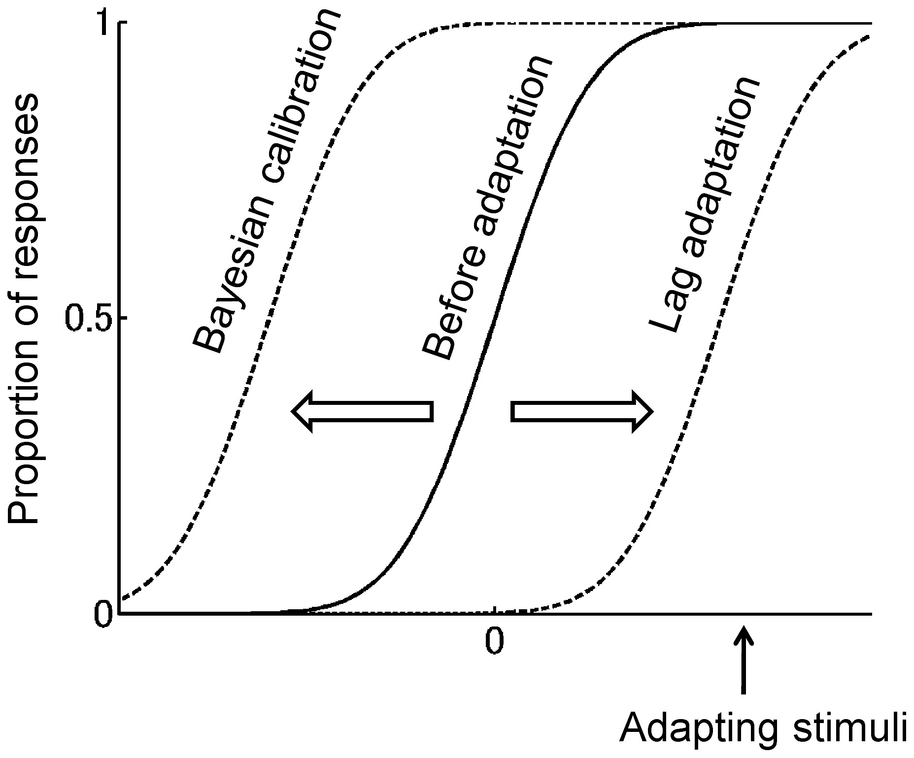 Two Types Of Adaptation Effects On A Psychometric Function