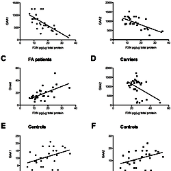 Protein correlation analysis.