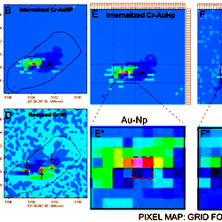 Confocal Raman Mapping.